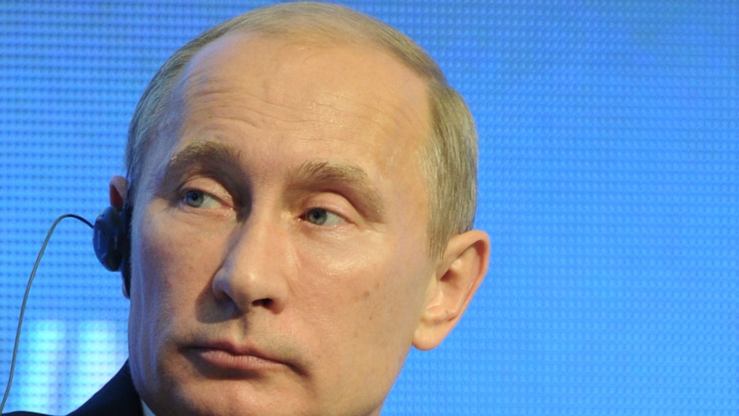 Mushukning yaqindan olingan surati