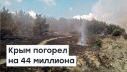 Крым погорел на 44 миллиона | Доброе утро, Крым