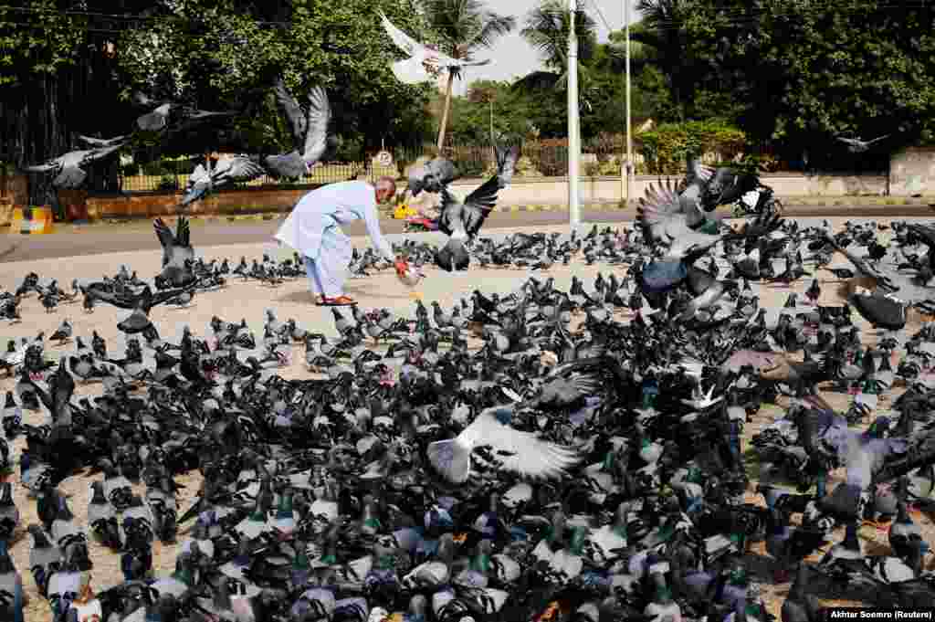 A man spreads a bucket of feed for pigeons, as many believe feeding the birds brings good luck, after Friday Prayers during the holy month of Ramadan in Karachi, Pakistan, on June 1. (Reuters/Akhtar Soomro)