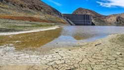 «ورشکستگی آبی» در خراسان جنوبی در گفت‌وگو با منصور سهرابی 