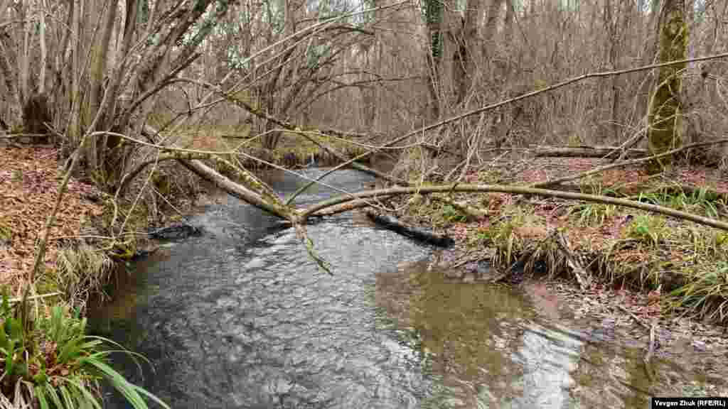 Річка Чорна на виході з Чорноріченського водосховища