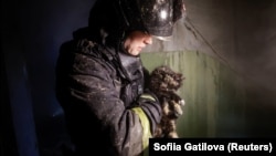 Ілюстраційне фото. Рятувальник виносить кота з ураженої багатоповерхівки в Харкові, 24 січня 2026 року