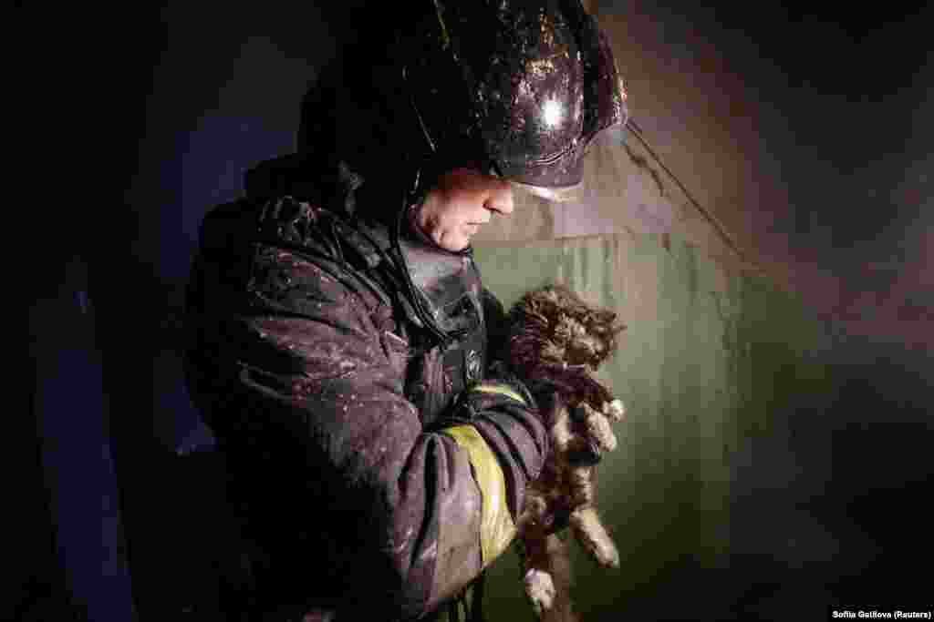 Рятувальник несе кота, якого він знайшов всередині багатоквартирного будинку, що був пошкоджений внаслідок удару російського безпілотника на тлі нового масованого нападу Росії на Україну. Харків, 24 січня 2026 року