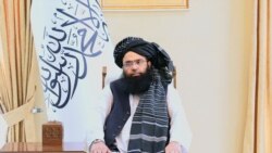 مولوی عبدالکبیر وزیر مهاجرین و عودت کنندگان طالبان