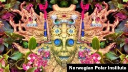 Detaliu de pe coperta albmului Carnival Of Peculiarities, Shpongle, 2021