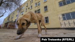 Иллюстративное фото