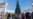 Миллионы на крымские елки