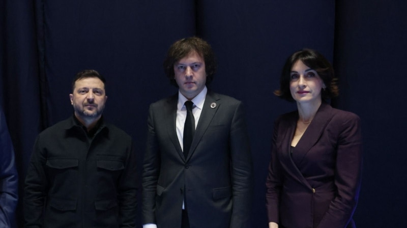 კობახიძე და ბოჭორიშვილი ზელენსკის შეხვდნენ