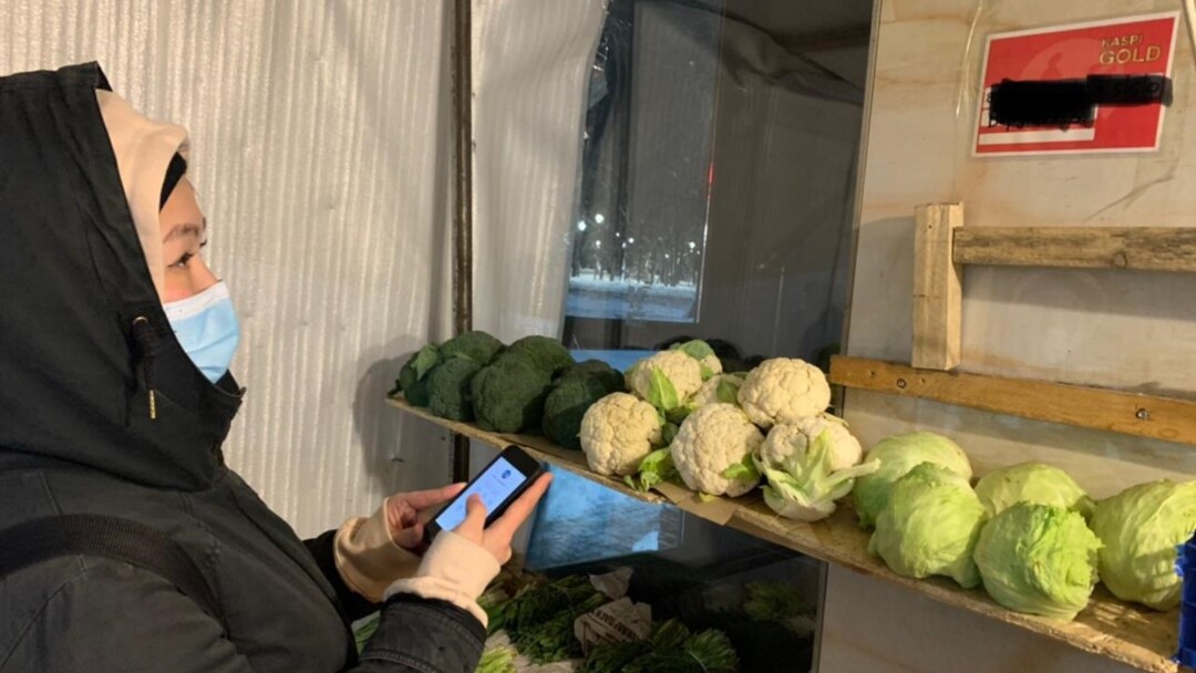 Мұнда түкті порно Студенттер пикникте