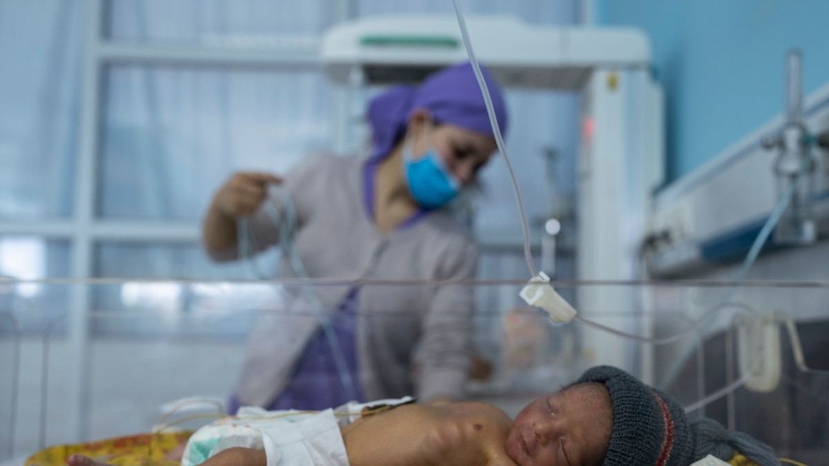 Gandhara Briefing: Ukraine War, Afghan Humanitarian Crisis - Vimarsana News