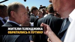 Протест в Геленджике: жители города обратились к Путину