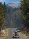 Një person duke kaluar me traktor në një rrugë që përshkon një zonë pyjore në Shtupeq të Pejës. Fotografi ilustruese nga arkivi. 