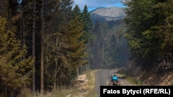 Një person duke kaluar me traktor në një rrugë që përshkon një zonë pyjore në Shtupeq të Pejës. Fotografi ilustruese nga arkivi. 