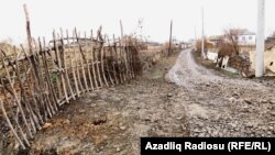 Sabirabadın kəndlərindən birinə gedən yol.