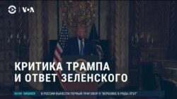 Америка: Трамп критикует Зеленского, американцы заводят кур 