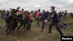 КПП Рьоске на угорсько-сербському кордоні: поліцейські намагаються зупинити натовп нелегальних мігрантів із Близького Сходу. 8 вересня 2015 року