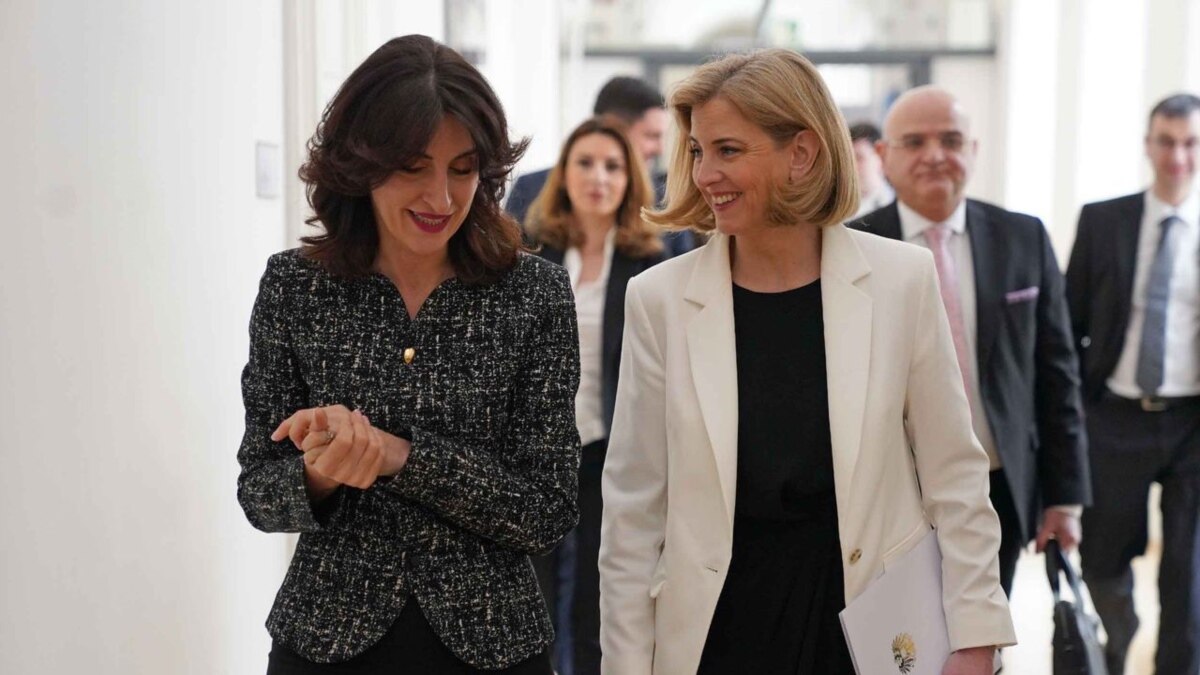 ავსტრიის საგარეო მინისტრმა ბოჭორიშვილთან ბრიფინგზე გააკრიტიკა ხელისუფლების პოლიტიკა