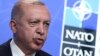 Провальная инициатива: как западные послы принесли извинения Эрдогану