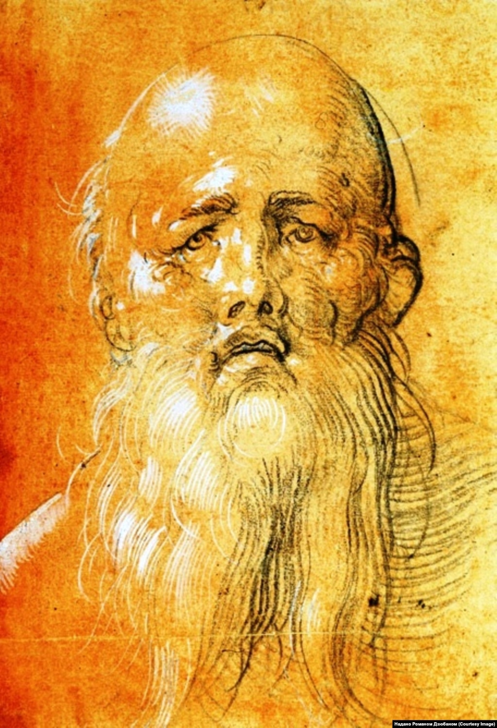 Дюрер «Старий», зберігається у Вроцлаві