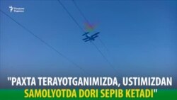 "Пахтада ичишга ариқ сувини бермоқда, устимиздан дори сепмоқда…"