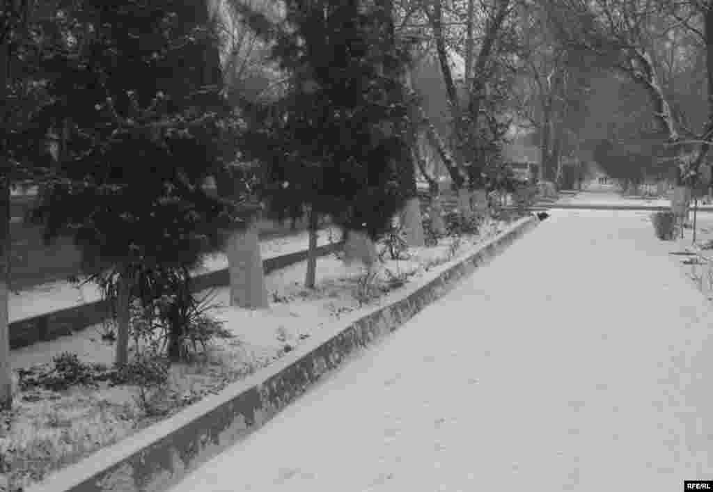 Paýtagtyň Magtymguly şaýolunyň ýanýodasy.