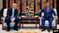 ABŞ prezidenti Donald Tramp Pekində, Çjunnanhay iqamətgahının bağında Çin lideri Si Cinpinlə görüşür.