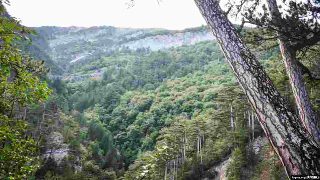 Ущелина Уч-Кош вважається однією з найдовших у Криму &ndash; приблизно п&#39;ять кілометрів, висота скель досягає 100 метрів