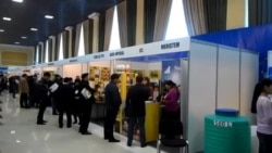 Шымкенттегі ауылшаруашылық көрмесі