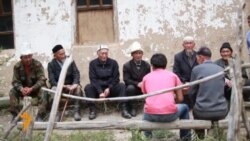  Алайкуу: Тоодо торолгондор