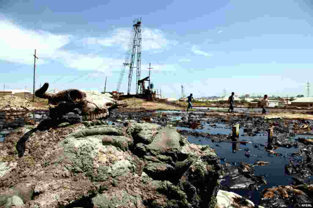 2010-cu ildən bəzi seçmələr #39