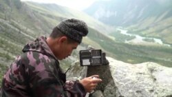 Фотоохота на снежного барса