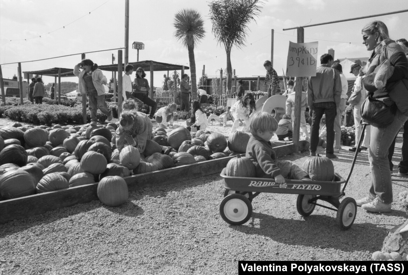 1988 年的南瓜市集。照片標題為「美國農業工業綜合體」。