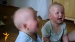 Цырк за дротам: Народзец, робім дзяцей!