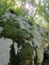 Petrolamium crnojevicii, Orašani, Cetinje, Crna Gora 