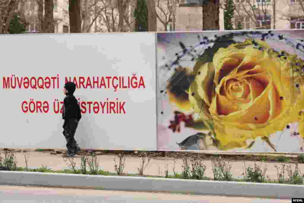 Balaca Rza və maşınlar. #26