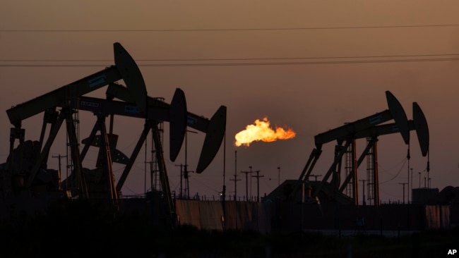 قیمت نفت برای چهارمین هفته متوالی است که روند نزولی دارد