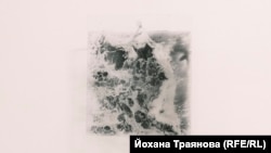  Кадър от изложбата „ Прозирам “ на Йохана Траянова. Снимките за нея са отпечатани върху стъкло във фотолабораторията RadLab в Габрово. 