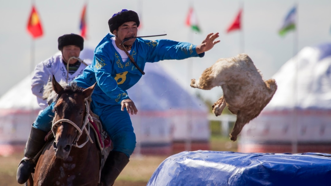 Сперматозоид бойынша жетекші