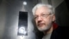 Julian Assange, themelues i WikiLeaks