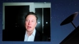 Elon Mask