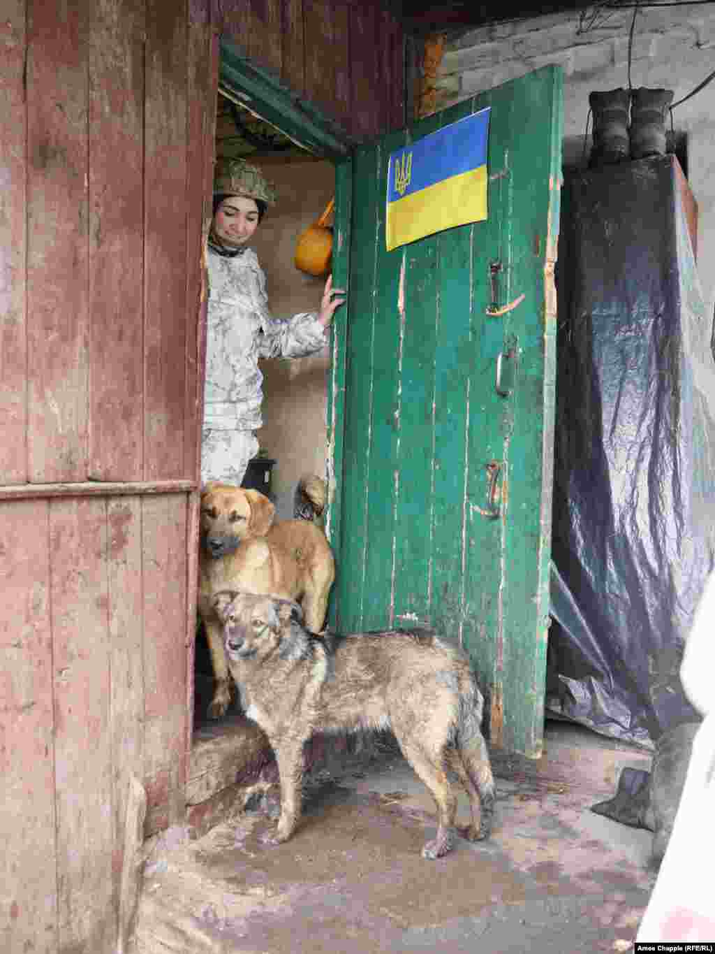Собаки та український боєць біля входу до сільської будівлі