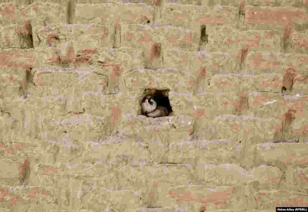 Son illərin müharibəsinin izlərini bu tarixi abidə də özündə daşıyır.