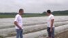 Poljoprivrednici Bijeljine: 'Blokiraćemo sve ako nam ne vrate zemlju'