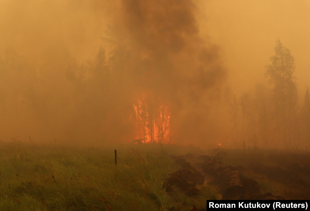 Soul of Siberia　Wild Siberia fired 4941.jpg?width=1200&height=900