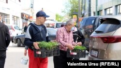 Moldova, People and places Fălești, 22 May 2021