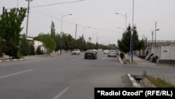 Конибодом