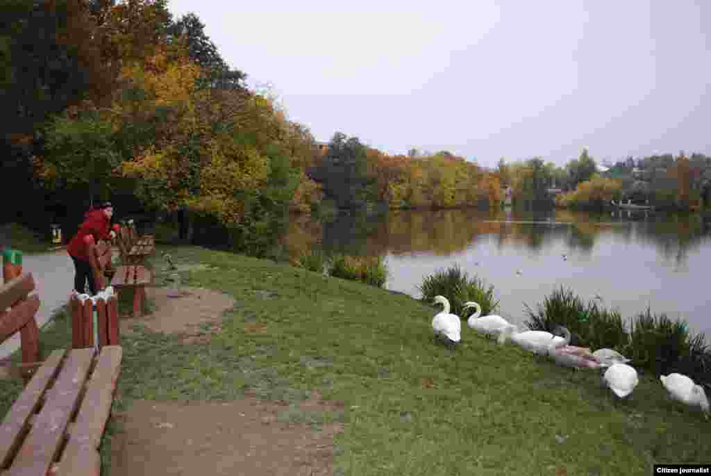 Сарахь-суьйренца...