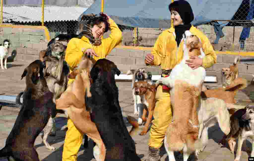 Volunteers play with dogs at the Vafa Animal Shelter in Hashtgerd, in Iran&#39;s Alborz Province. (epa/Abedin Taherkenareh) &nbsp;