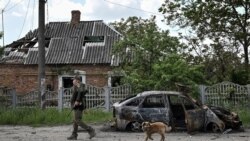 Військовослужбовець 65-ї окремої механізованої бригади Збройних сил України йде вулицею прифронтового міста Оріхів Запорізької області, 20 травня 2026 року