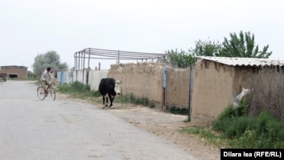 Жетілген әйелдер өздерін сипап, сперму